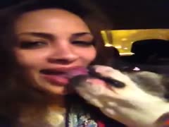 Pretty MILF kisses her dog passionately in the car beastiality